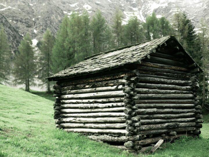 Parco Alexandru Ioan Cuza
